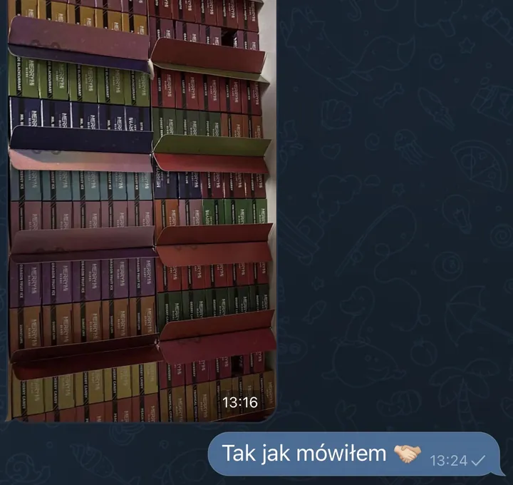 Zrzut z Telegrama: zdjęcie dużego zamówienia kartonów MerryMi Blade u klienta