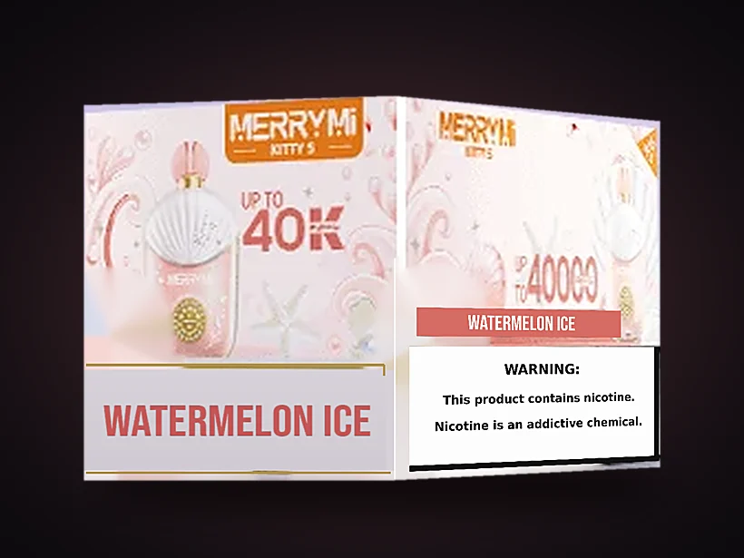 Karton MerryMi Kitty S, 10 sztuk