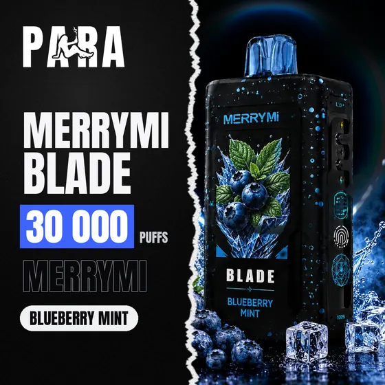 MerryMi Blade Blueberry Mint